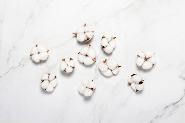 Cotton flowers on a marble background. Natural product concept, decor, home decoration, interior. Flat lay, top view