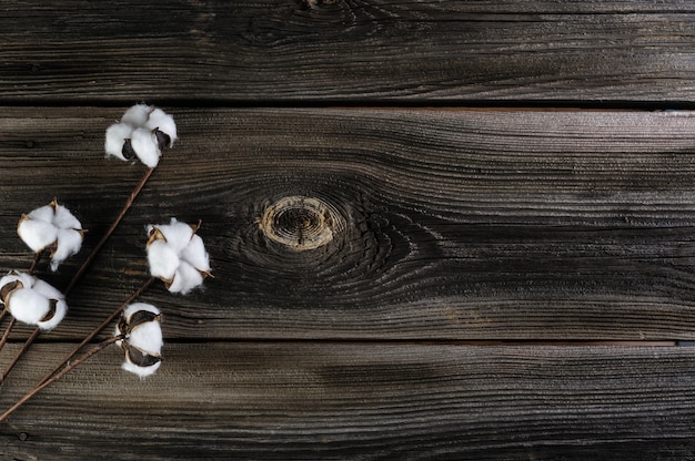 Cotton flowers on old natural wooden plank background
