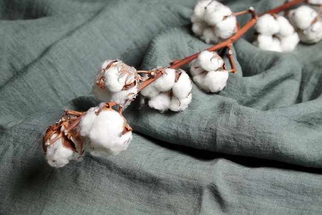 グレーグリーンの布の背景に白い花を持つ綿の植物