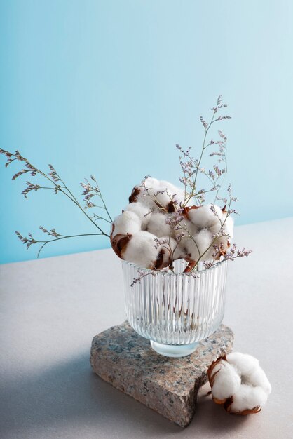 Photo cotton plants still life