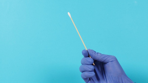 Cotton stick for swab test in hand with violet medical gloves or latex glove on blue background