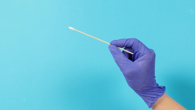 Cotton stick for swab test in hand with violet medical gloves or latex glove on blue background