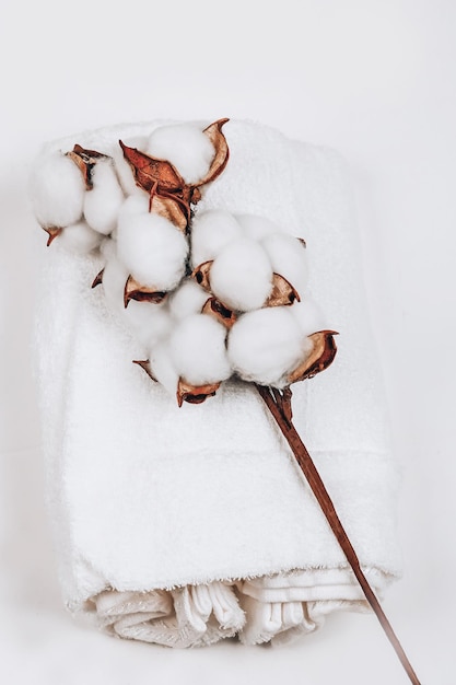 Cotton towel and coton branch Natural eco friendly fabric