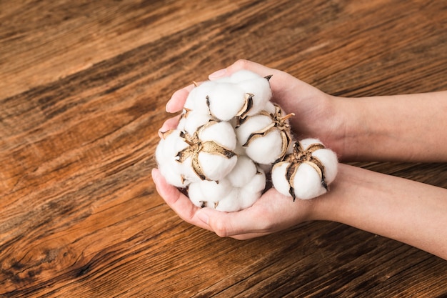 Cotton on a wooden background