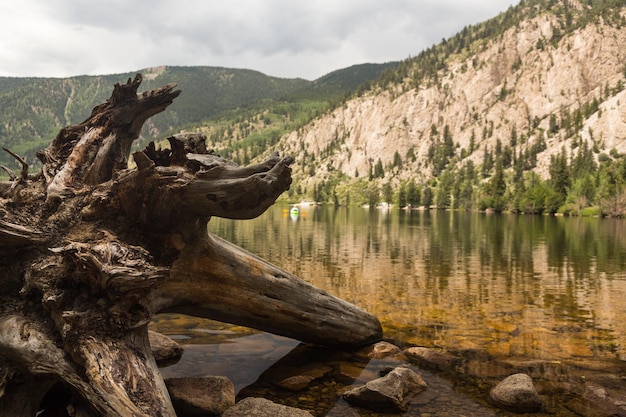 Cottonwood lake near Buena Vista Colorado