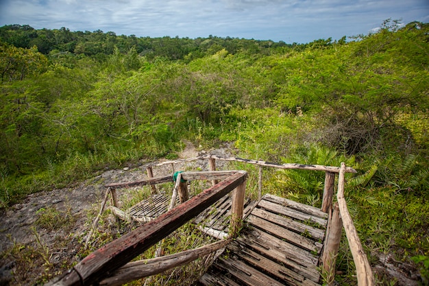 Cotubanama national park in dominicaanse republiek, padre nuestro sectie met typische vegetatie binnen en steengroeven zoals de cueva de padre nuestro en cueva del chico