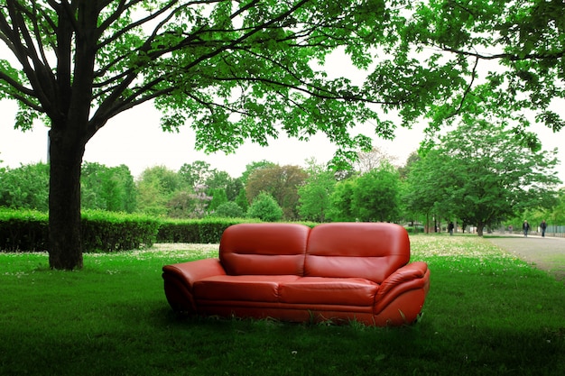 Couch in the nature