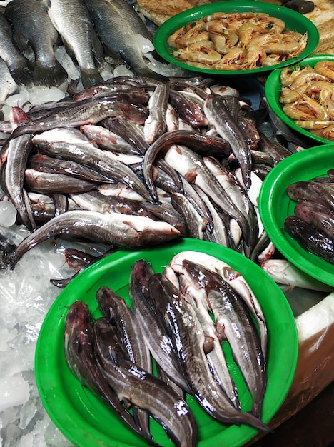 A counter with fresh fish at the fish market.