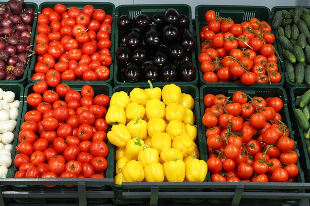 Counter with fresh vegetables in the supermarket