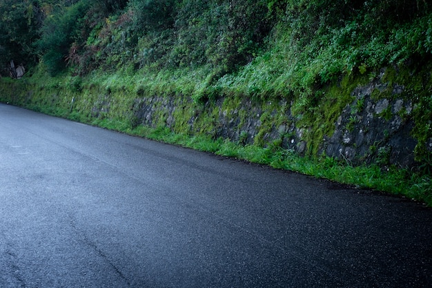 雨の後の国のアスファルト道路