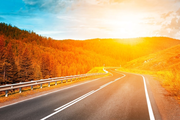 Country highway under the summer sun