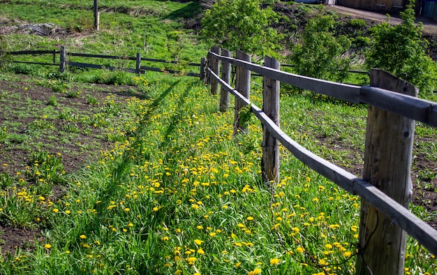 Country house in the countryside. Fence in the garden of long sticks. Parts of the area.