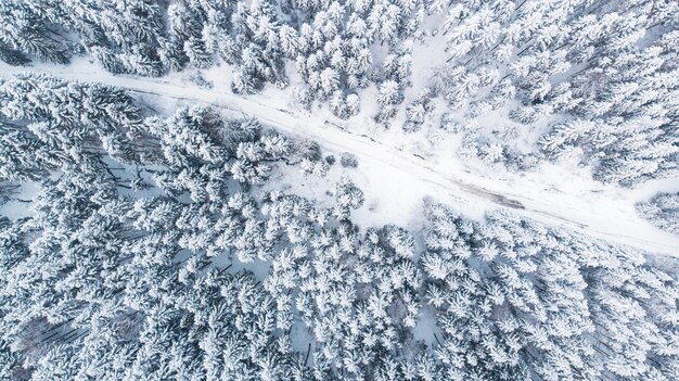 冬の雪に覆われた森トップダウン空撮の田舎道