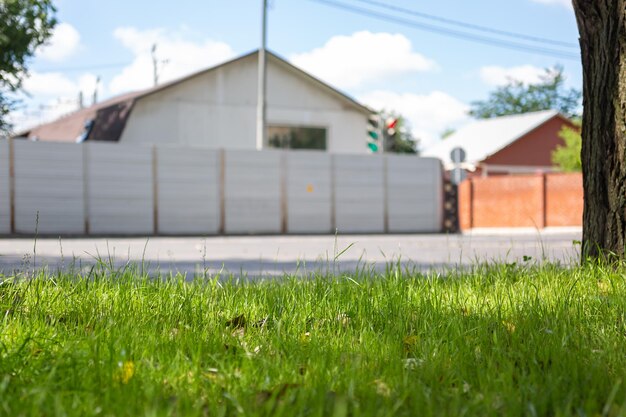 Country life, green grass. Place for text.