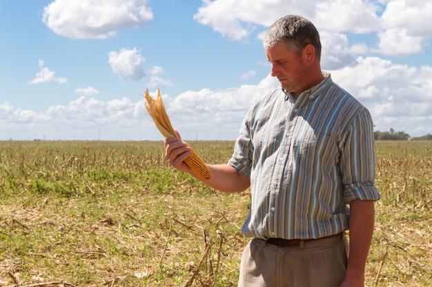 Country man in the stubble of the corn crop