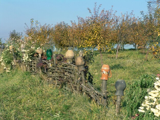 Foto la vecchia recinzione ucraina di campagna erba autunnale e giardino