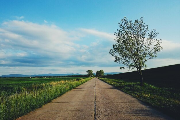 Country road amidst trees against sky