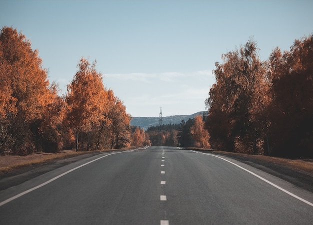 Country road. autumn.