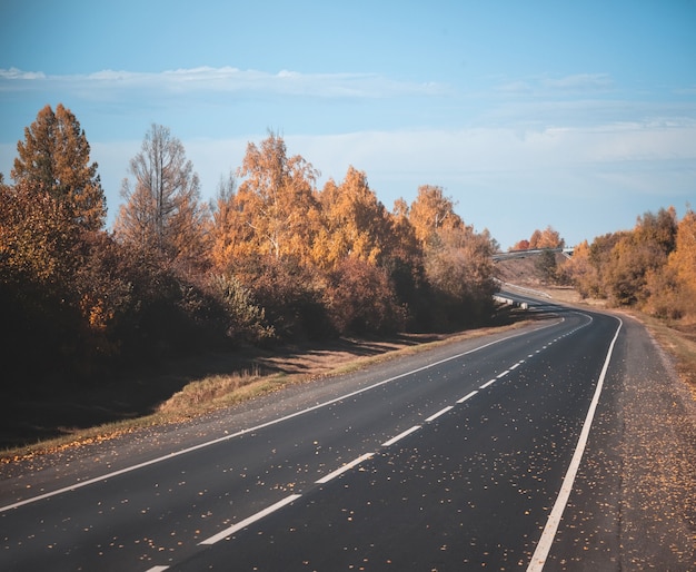 Country road. autumn.