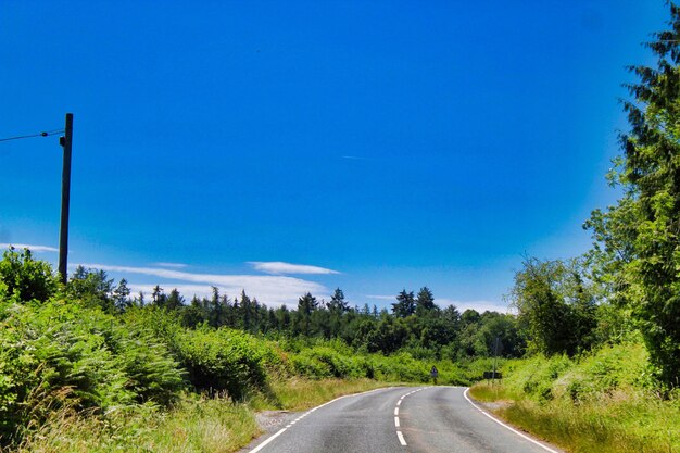 Country road by trees against blue sky