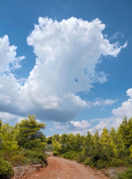 A country road and cumulus clouds in a pine forest on the island of Evia in Greece