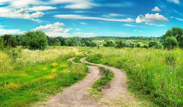 Country road in field