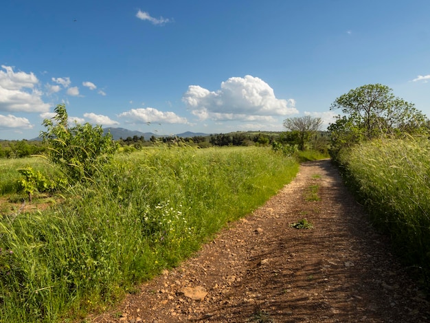 A country road fields and a cloud in the blue sky on the island of Evia in spring in Greece