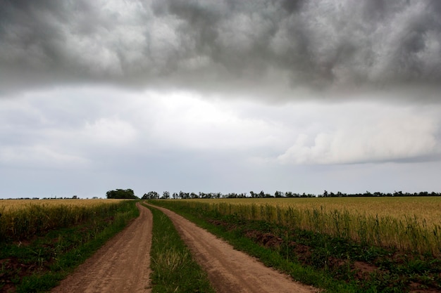 Country road between fields in a summer thunderstorm