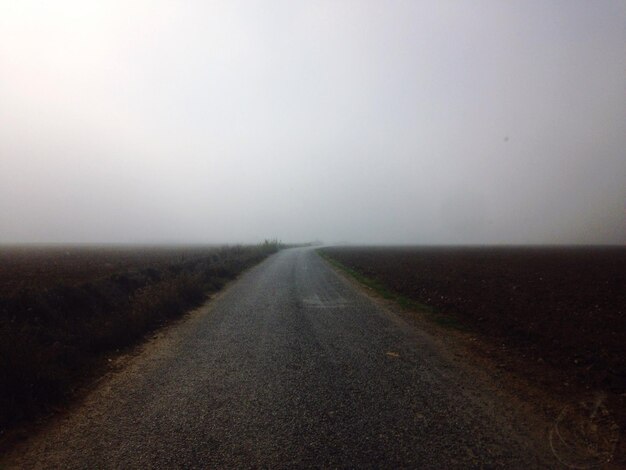 Country road in foggy weather