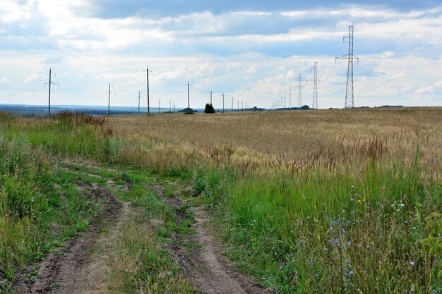 проселочная дорога, идущая рядом с сельскохозяйственным полем с электрическими проводами и облачным небом