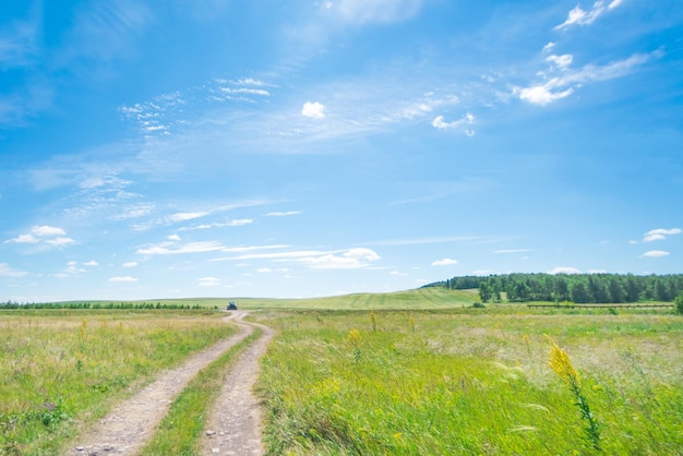 Country road in green field and blue sky with clouds