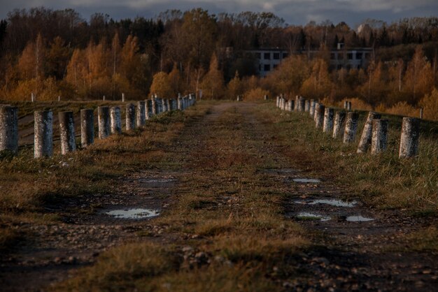 Фото Проселочная дорога в осеннем поле с бетонными столбами и лужами