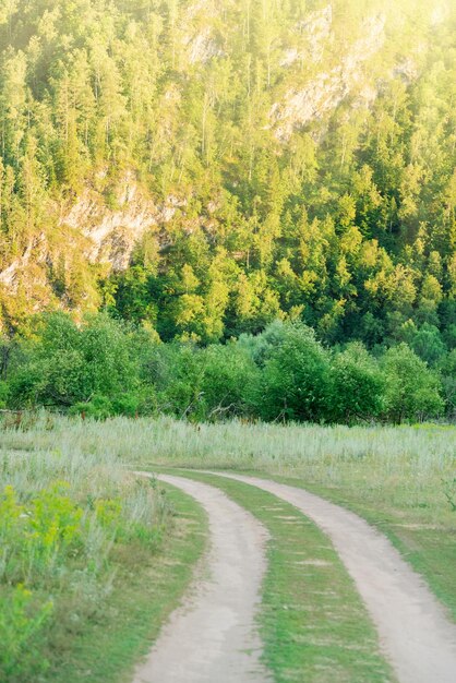 写真 緑の野原の田舎道