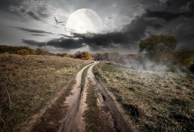 Strada campestre sotto la luna rotonda alla notte. elementi di questa immagine fornita dalla nasa