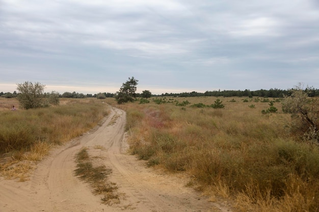 A country road in the southern steppe grassland by Black sea Ukraine