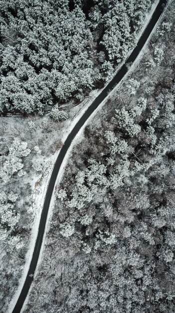 美しい雪景色の田舎道