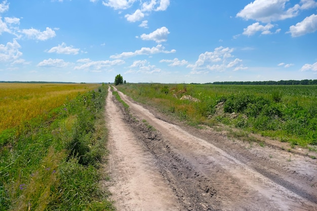 Country road through the fields dirt road in the field