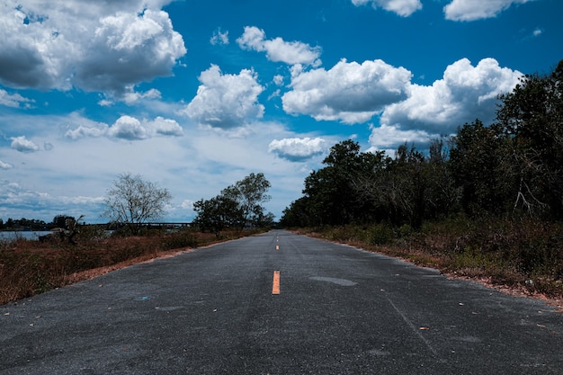 写真 田舎に沿って田舎道の木