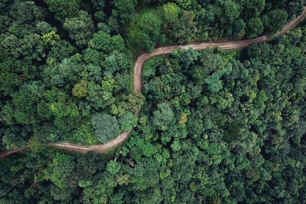 春の谷間の田舎道