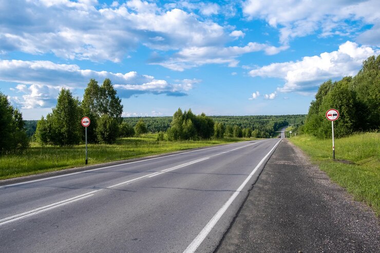 Country road with markings in the middle of the forest