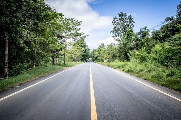 Photo country road with the tree beside