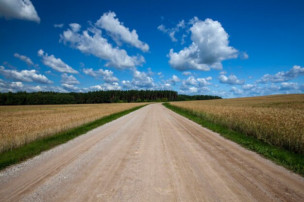 A country road without asphalt