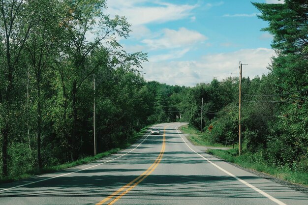 写真 田舎の道路