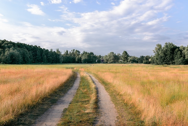 Photo country road