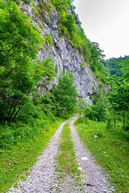 열대 산맥의 시골 바위 길