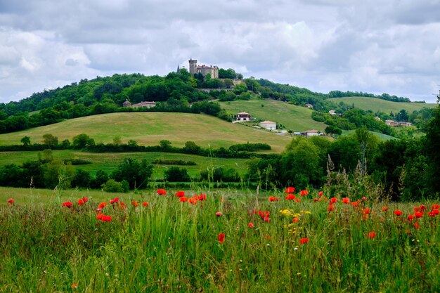 Country side French field near Auch