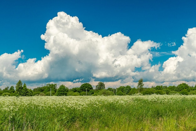 Countryside blue sky with beautiful clouds