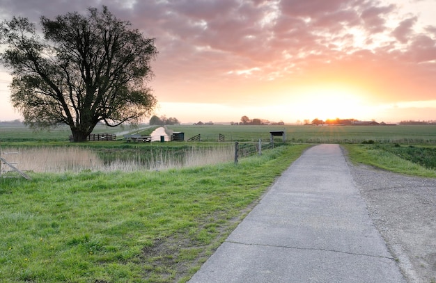 countryside cycling road at sunrise