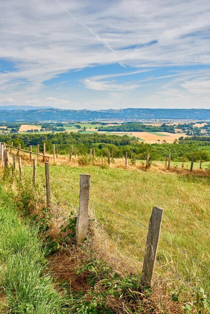 Countryside farm land with a fence on a blue cloudy sky background with copy space Landscape of a sustainable agriculture farmland with hay like grass and trees in a green environment