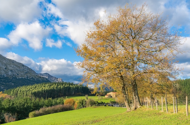 Campo di campagna nel quartiere mendiola